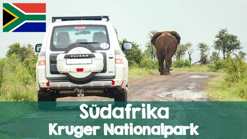 Read more about the article Kruger Nationalpark